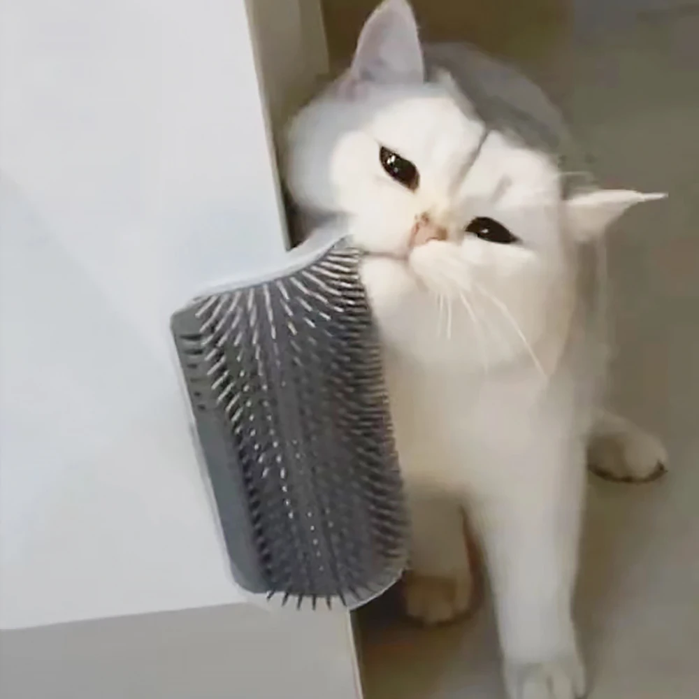 Massageritem voor katten PP-ma - Hair Care Good Hair recensie en prijs